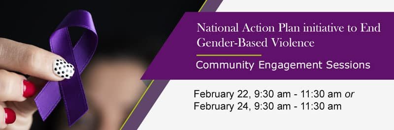 National Action Plan initiative to End Gener-Base Violence banner